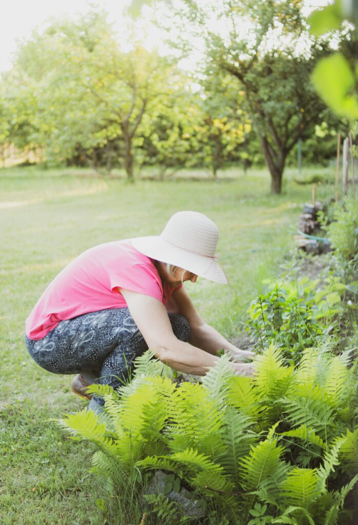 Gardens
